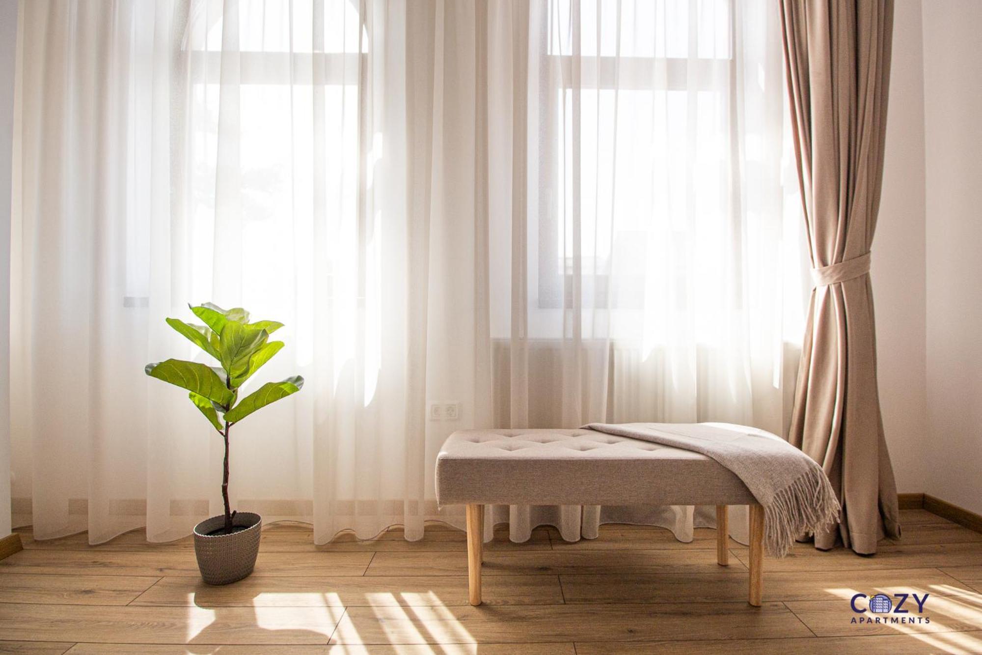 Luxury Cozy Collection In * Brașov